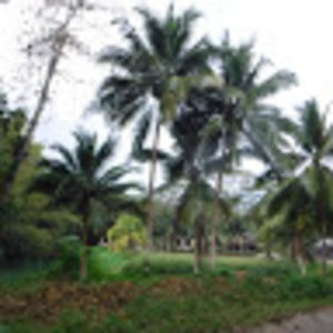 Meet your Posher, Savanna